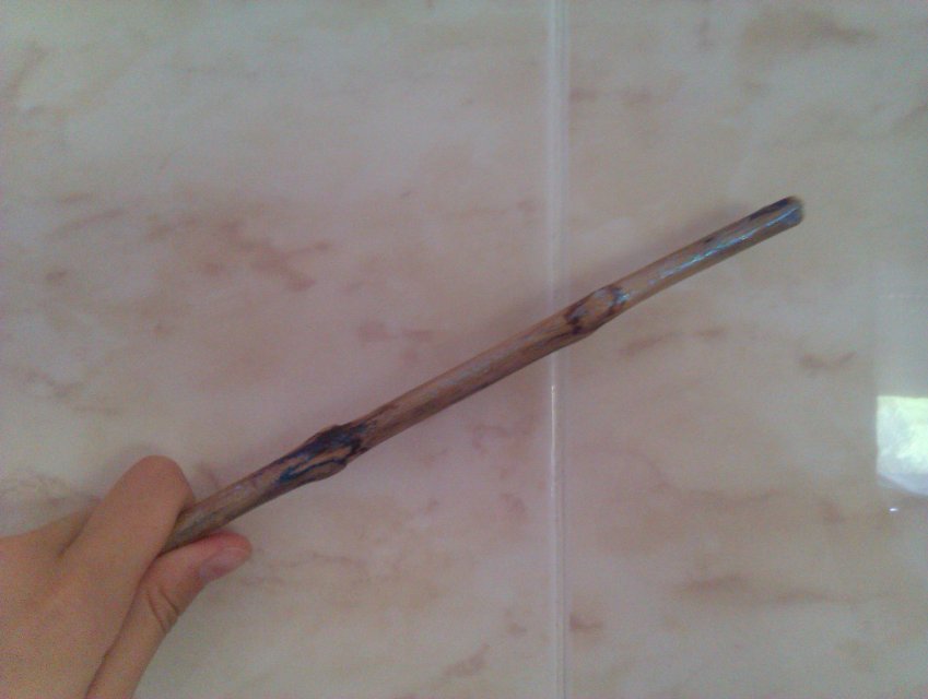 IMAG0673.jpg, 902 KB